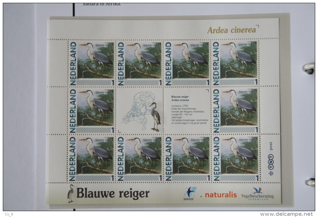 Persoonlijk Zegel Thema Birds Vogels Oiseaux Pájaro Sheet BLAUWE REIGER  BLUE HERON 2011-2014 Nederland - Unused Stamps