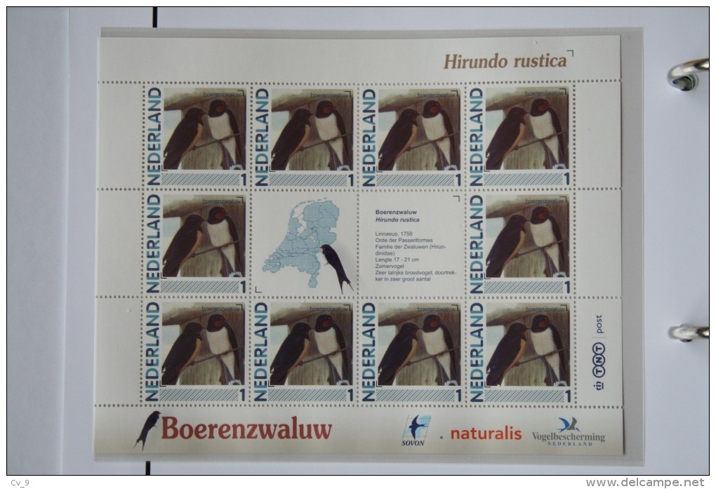 Persoonlijk Zegel Thema Birds Vogels Oiseaux Pájaro Sheet BOERENZWALUW  SWALLOW 2011-2014 Nederland - Unused Stamps