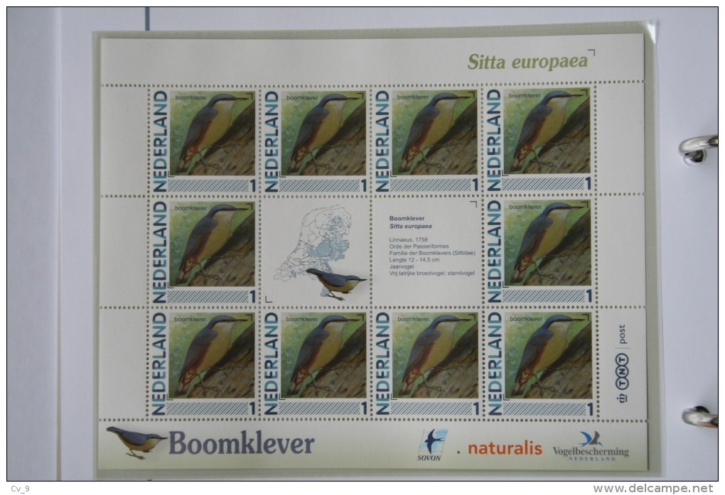 Persoonlijk Zegel Thema Birds Vogels Oiseaux Pájaro Sheet BOOMKLEVER  NUTHATCH 2011-2014 Nederland - Neufs
