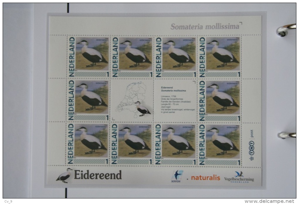 Persoonlijk Zegel Thema Birds Vogels Oiseaux Pájaro Sheet EIDEREEND EIDER 2011-2014 Nederland - Unused Stamps