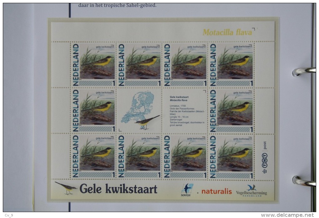Persoonlijk Zegel Thema Birds Vogels Oiseaux Pájaro Sheet GELE KWIKSTAART YELLOW WAGTAIL 2011-2014 Nederland - Nuevos