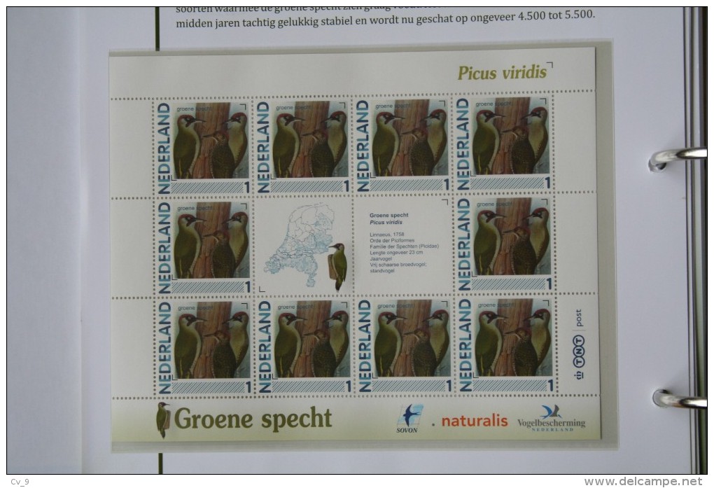 Persoonlijk Zegel Thema Birds Vogels Oiseaux Pájaro Sheet GROENE SPECHT Yaffle 2011-2014 Nederland - Neufs