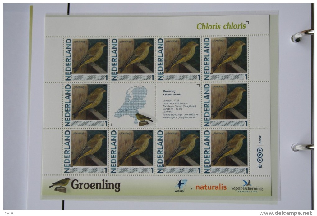 Persoonlijk Zegel Thema Birds Vogels Oiseaux Pájaro Sheet GROENLING GREENFINCH 2011-2014 Nederland - Neufs