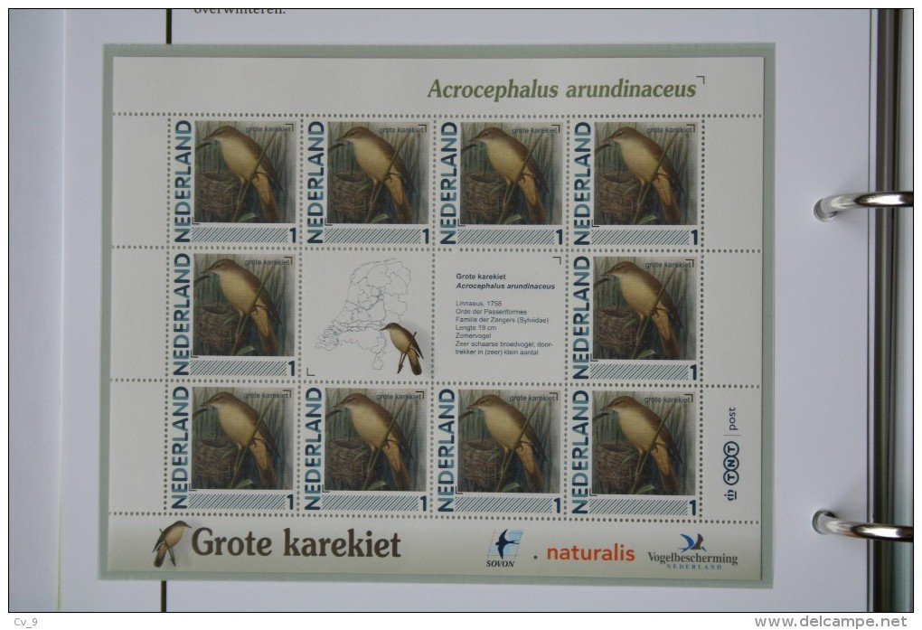 Persoonlijk Zegel Thema Birds Vogels Oiseaux Pájaro Sheet GROTE KAREKIET Great Reed Warbler 2011-2014 Nederland - Unused Stamps