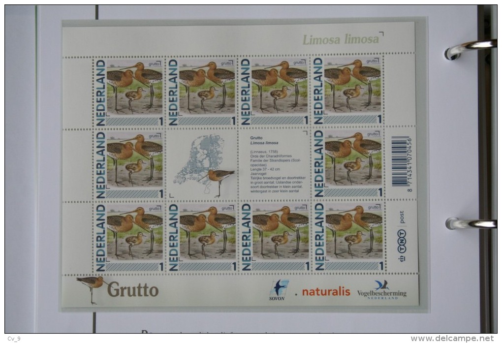 Persoonlijk Zegel Thema Birds Vogels Oiseaux Pájaro Sheet GRUTTO GODWIT 2011-2014 Nederland - Unused Stamps