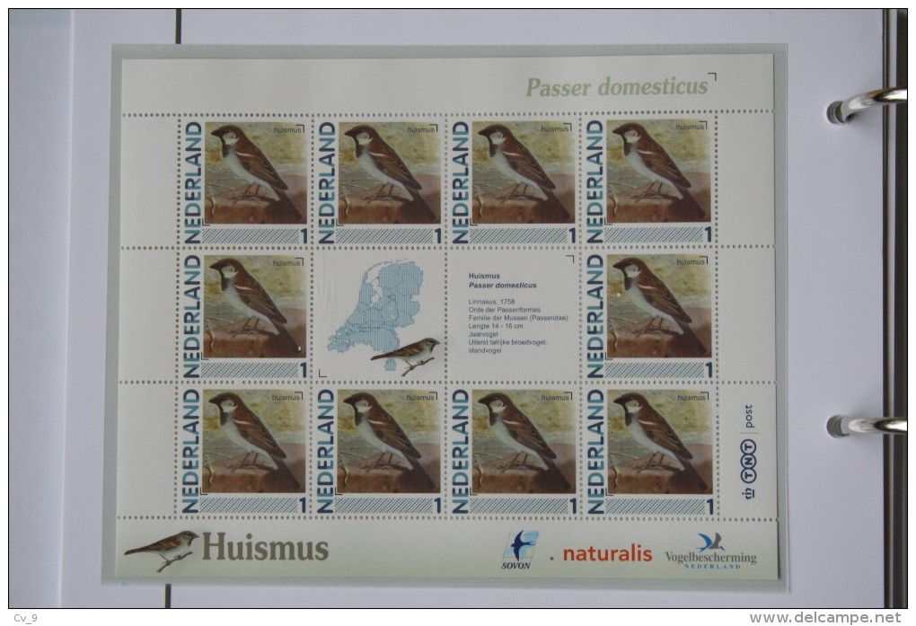 Persoonlijk Zegel Thema Birds Vogels Oiseaux Pájaro Sheet HUISMUS SPARROW 2011-2014 Nederland - Neufs
