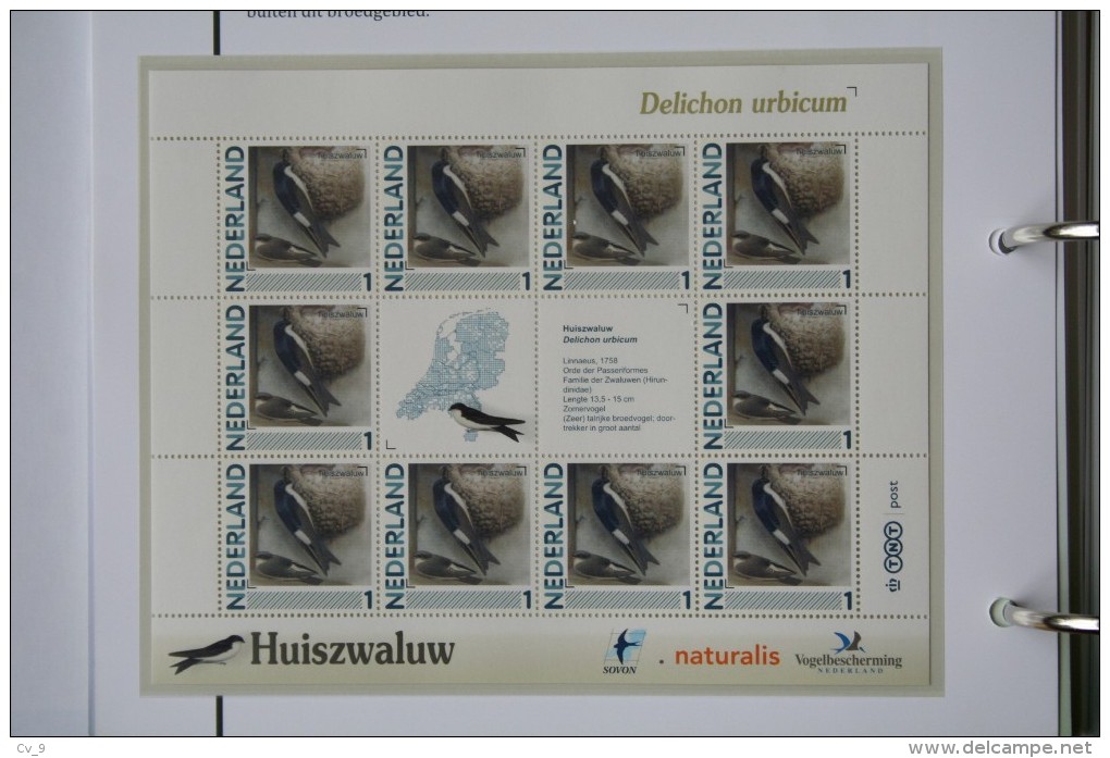 Persoonlijk Zegel Thema Birds Vogels Oiseaux Pájaro Sheet HUISZWALUW HOUSE MARTINS 2011-2014 Nederland - Unused Stamps