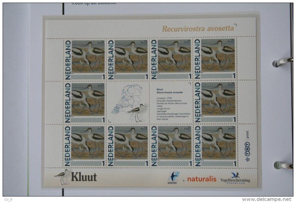 Persoonlijk Zegel Thema Birds Vogels Oiseaux Pájaro Sheet KLUUT Avocet 2011-2014 Nederland - Unused Stamps