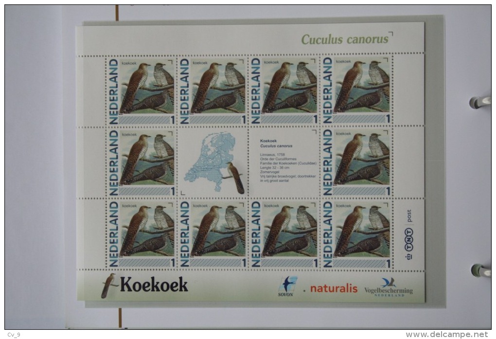 Persoonlijk Zegel Thema Birds Vogels Oiseaux Pájaro Sheet KOEKOEK CUCKOO 2011-2014 Nederland - Unused Stamps