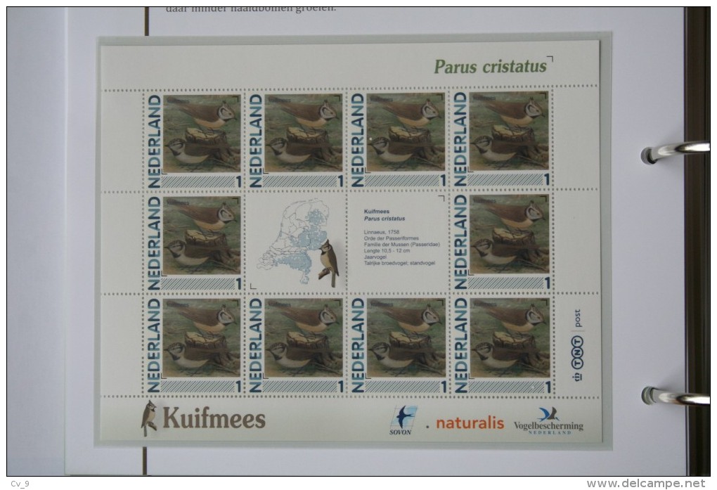 Persoonlijk Zegel Thema Birds Vogels Oiseaux Pájaro Sheet KUIFMEES CRESTED TIT 2011-2014 Nederland - Nuevos