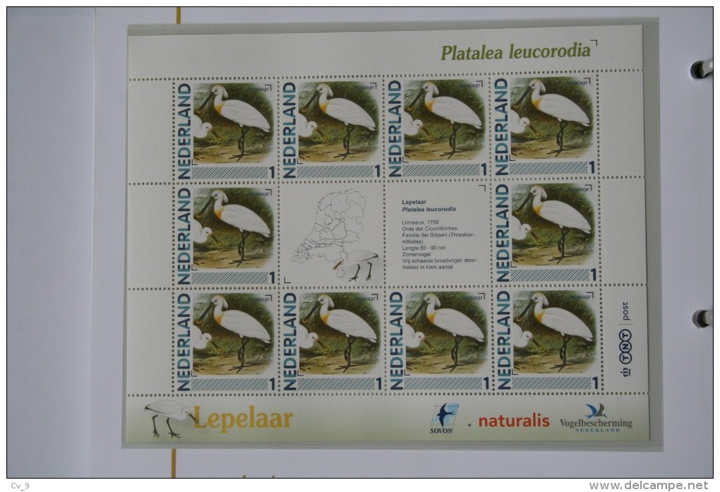 Persoonlijk Zegel Thema Birds Vogels Oiseaux Pájaro Sheet LEPELAAR Spoonbill 2011-2014 Nederland - Neufs