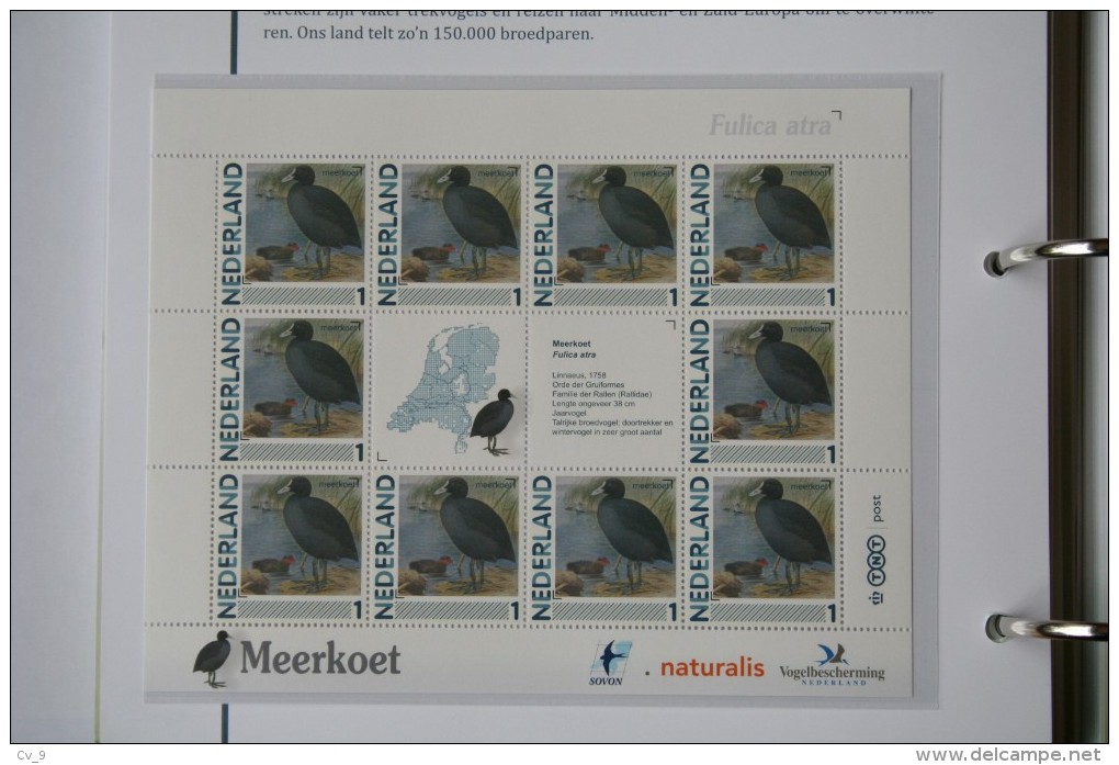 Persoonlijk Zegel Thema Birds Vogels Oiseaux Pájaro Sheet MEERKOET Coot 2011-2014 Nederland - Neufs