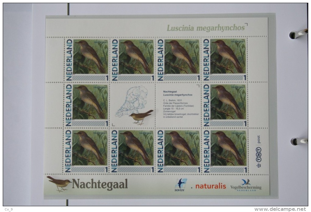 Persoonlijk Zegel Thema Birds Vogels Oiseaux Pájaro Sheet NACHTEGAAL NIGHTINGALE 2011-2014 Nederland - Neufs