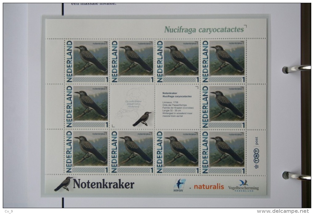 Persoonlijk Zegel Thema Birds Vogels Oiseaux Pájaro Sheet NOTENKRAKER NUTCRACKER 2011-2014 Nederland - Nuevos