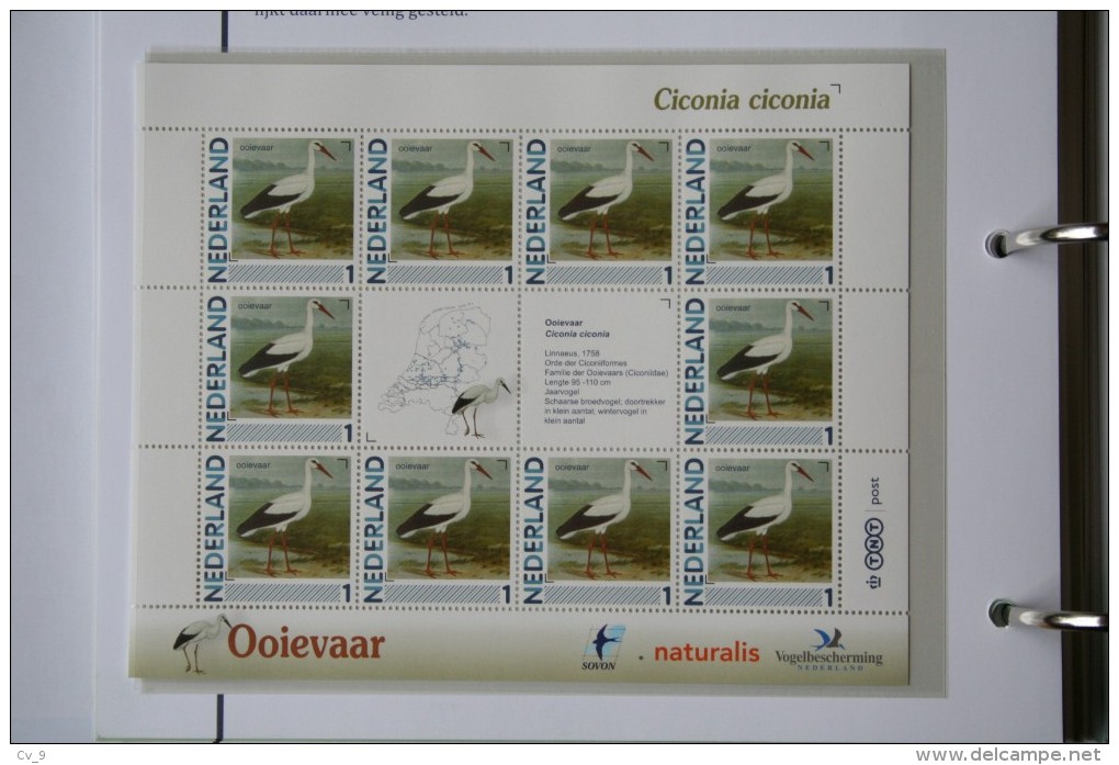 Persoonlijk Zegel Thema Birds Vogels Oiseaux Pájaro Sheet OOIEVAAR STORK 2011-2014 Nederland - Ongebruikt