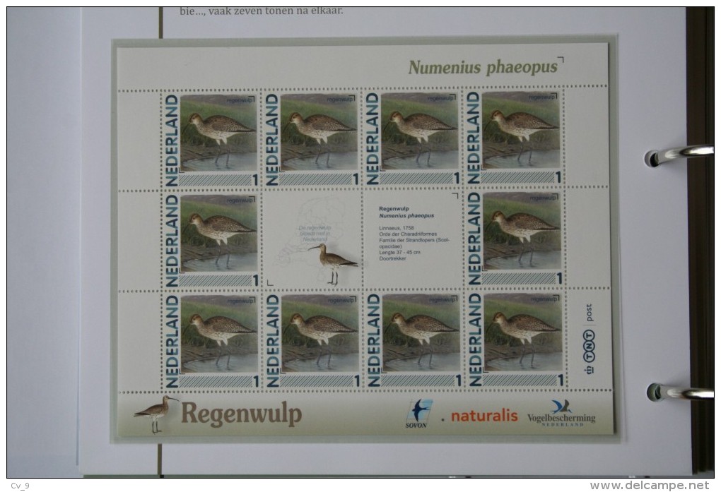 Persoonlijk Zegel Thema Birds Vogels Oiseaux Pájaro Sheet REGENWULP WHIMBREL 2011-2014 Nederland - Neufs