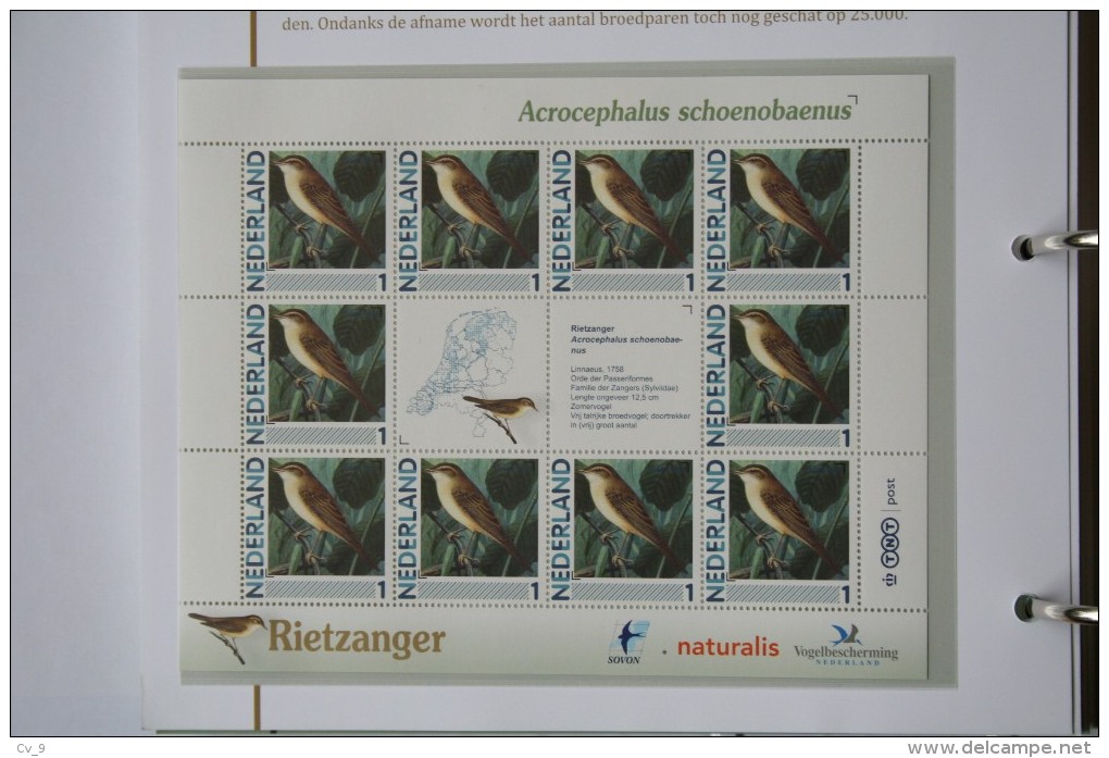 Persoonlijk Zegel Thema Birds Vogels Oiseaux Pájaro Sheet RIETZANGER Sedge Warbler 2011-2014 Nederland - Nuevos