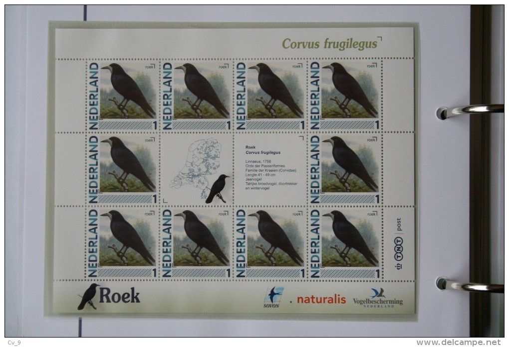 Persoonlijk Zegel Thema Birds Vogels Oiseaux Pájaro Sheet ROEK ROOK 2011-2014 Nederland - Nuevos