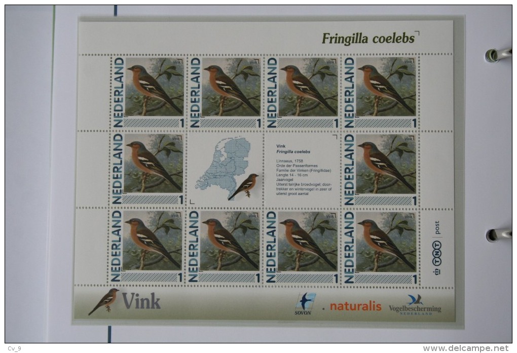 Persoonlijk Zegel Thema Birds Vogels Oiseaux Pájaro Sheet VINK FINCH 2011-2014 Nederland - Ongebruikt