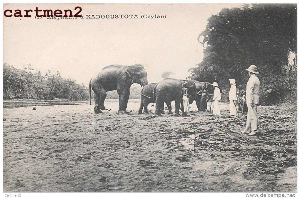 ELEPHANTS A KADOGUSTOTA SRI LANKA CEYLON INDIA INDE - Sri Lanka (Ceylon)