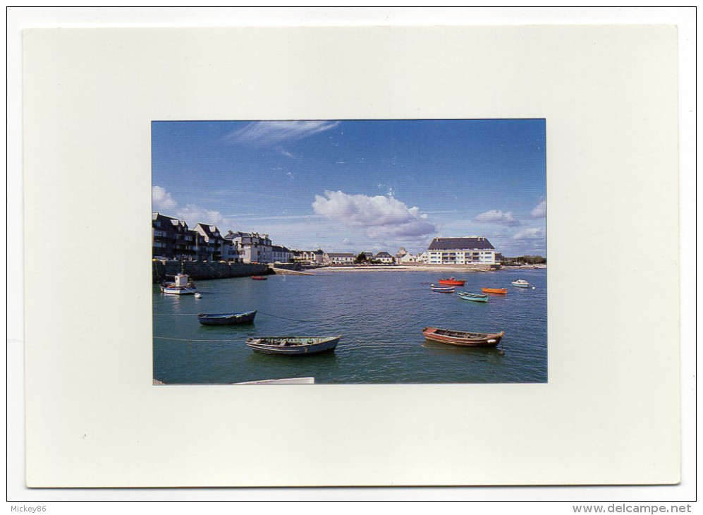 PLOEMEUR--LOMENER, Petit Port De Pêche ,cpm N° C 1031  éd D'Armor--Photo C.Pastor---carte Pas Courante - Ploemeur