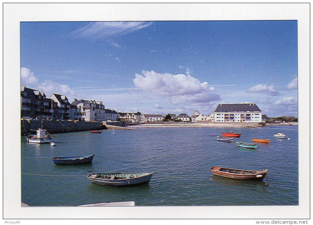 PLOEMEUR--LOMENER, Petit Port De Pêche ,cpm N° C 1031  éd D'Armor--Photo C.Pastor---carte Pas Courante - Ploemeur