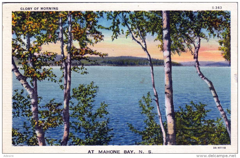 MAHONE BAY N.S., Glory Of Morning, Karte Gel.1938 - Ohne Zuordnung