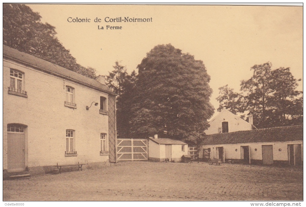Colonie De Cortil-Noirmont      Chastre     Nr 1378 - Chastre