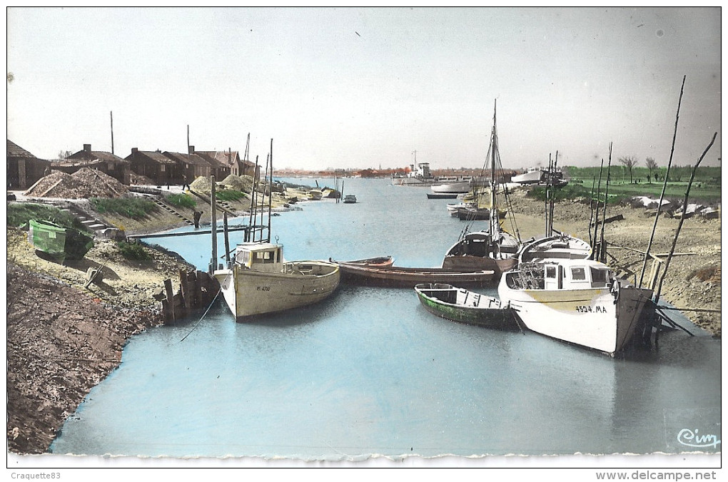 MARENNES - JOLIE PERSPECTIVE  SUR LE CANAL   CPSM PF  CARTE ANIMEE - Marennes