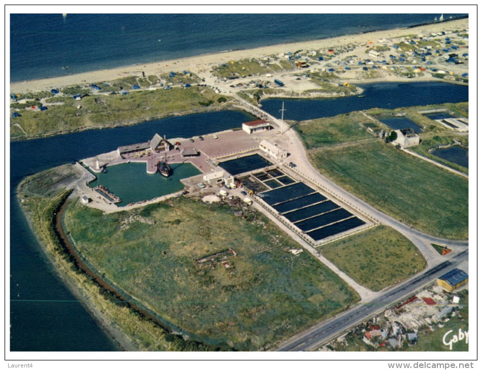 (4444 DEL) France - Oysters Park In Courseulles - Courseulles-sur-Mer