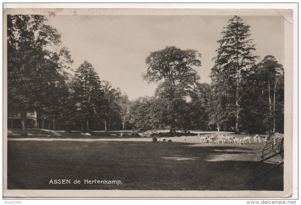 Nr.  4518, Assen - Assen