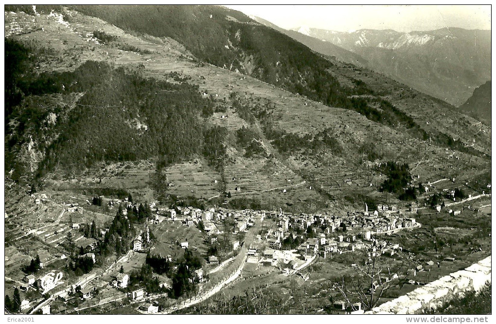 Saint-Martin-Vésubie. Le Village Vu De La Route De Valdeblore. - Saint-Martin-Vésubie