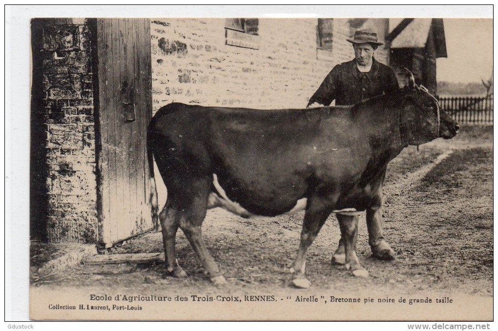 Ecole D'Agriculture Des Trois-Croix, Rennes - Autres & Non Classés