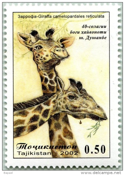 N° Yvert & Tellier 153 - Timbre Du Tadjikistan (MNH) - (2002) - Girafe - Tajikistan