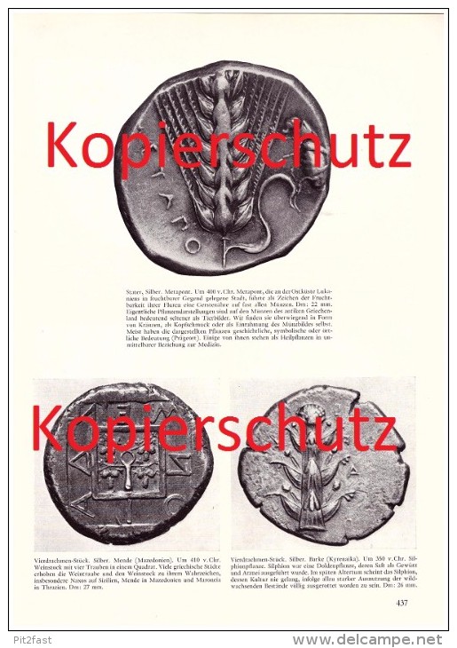 Original Zeitungsbericht - 1959 - Münzen Des Antiken Griechenland , Silbermünze , Distater , Tier- Und Pflanzenbilder !! - Griechische Münzen