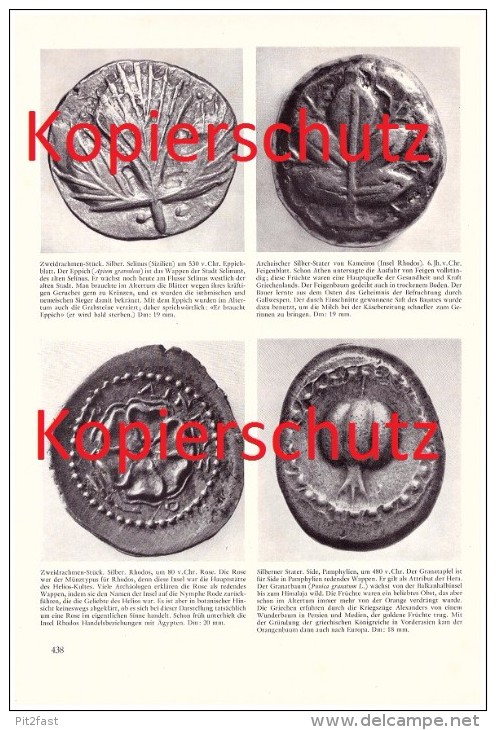 Original Zeitungsbericht - 1959 - Münzen Des Antiken Griechenland , Silbermünze , Distater , Tier- Und Pflanzenbilder !! - Griechische Münzen