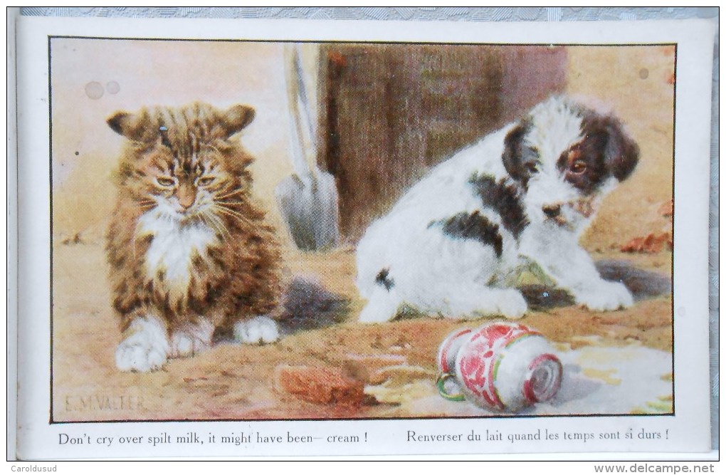 Cpa Litho Chromo Illustrateur VALTER FLORENCE HOUSE SERIE Artistique N° 2607 Chien Et Chat Lait Renversé - Valter, Fl. E.