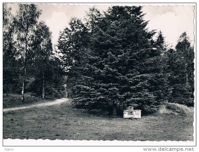 Sint Joris Weert  Gastengrond - Oud-Heverlee