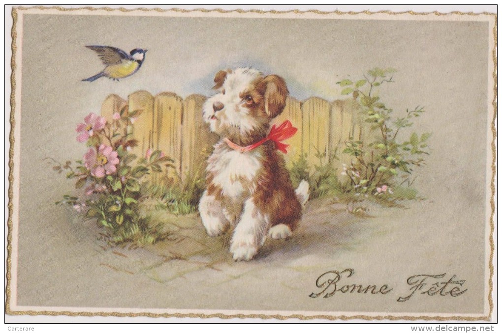Bonne Fete,chien,oiseau,dog,chienne,aout 1957,rebelle,bagarreur - Hunde