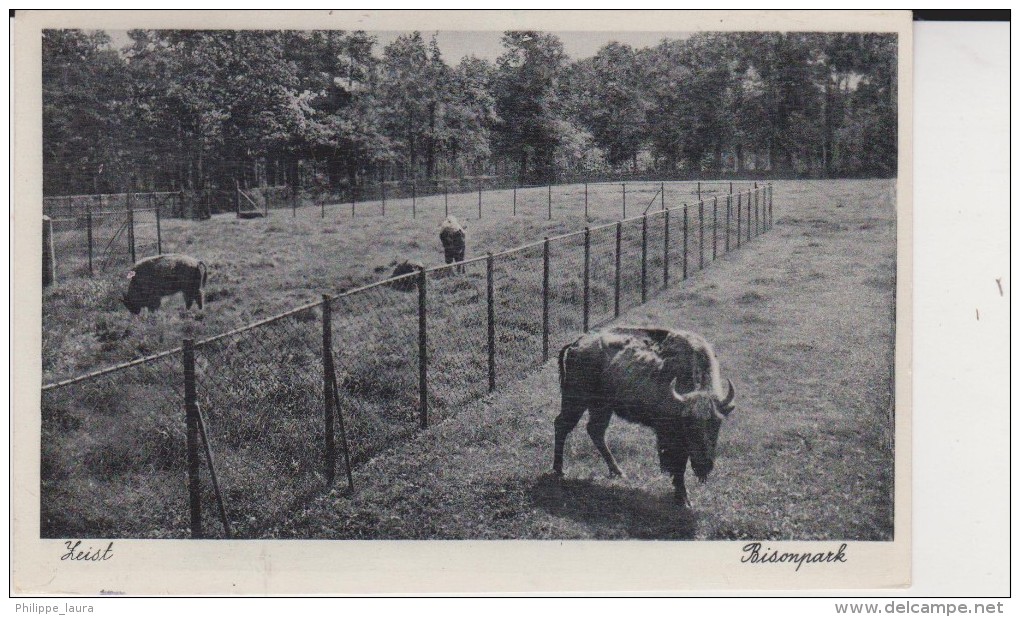 Zoo Zeist Bisonpark 1913 - Otros & Sin Clasificación