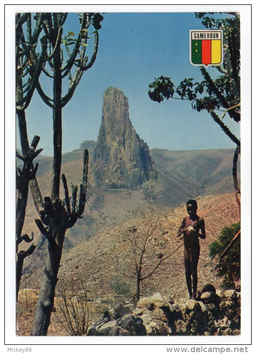 Cameroun--Paysage Du Kapsiki (animée) ,cpsm 15 X 10 N° 5670  éd Iris - Cameroun