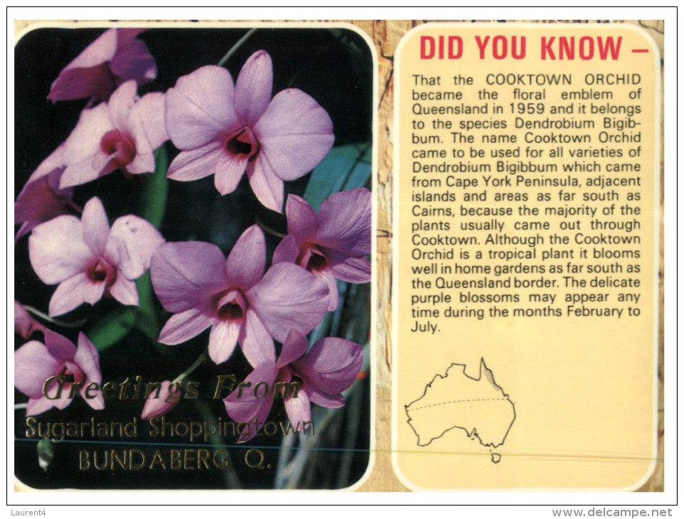 (404) Australia - QLD - Bundaberg And Orchid Flowers - Sunshine Coast