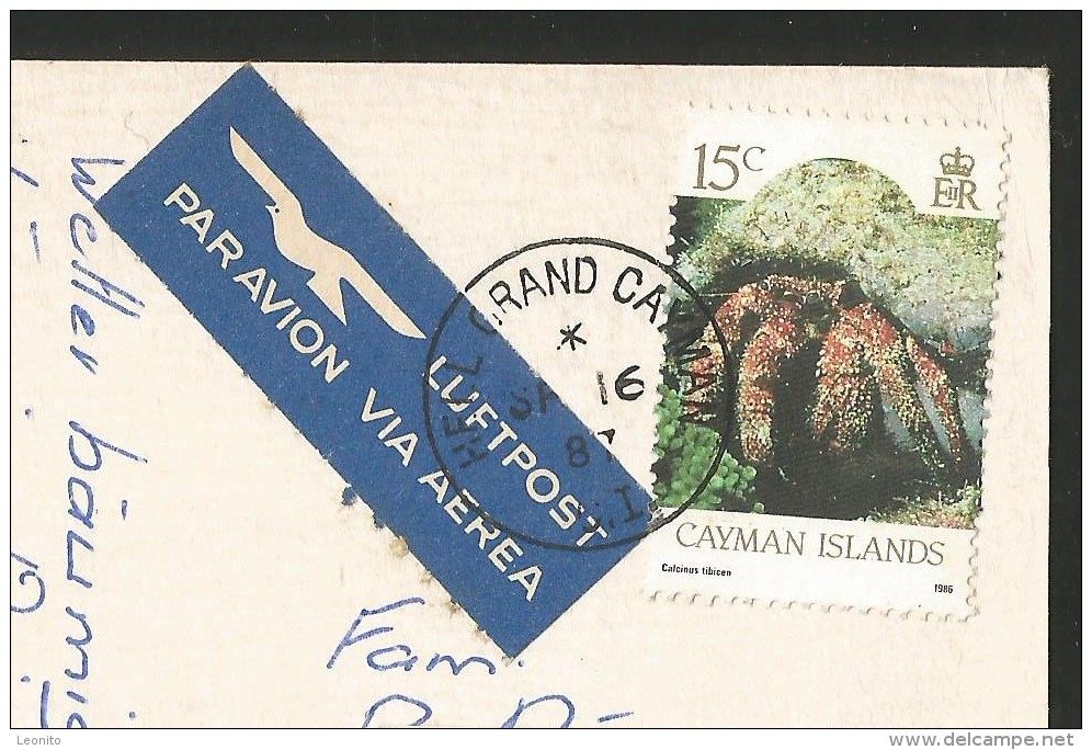 GRAND CAYMAN Seven Mile Beach Turtle Farm 1987 - Cayman Islands