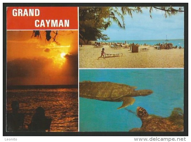 GRAND CAYMAN Seven Mile Beach Turtle Farm 1987 - Kaaimaneilanden