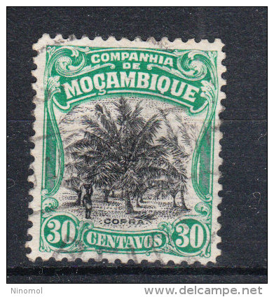 Mozambico  Cie   -   1925-31.  Palmeto. Palm Grove 30 C. Green - Alberi