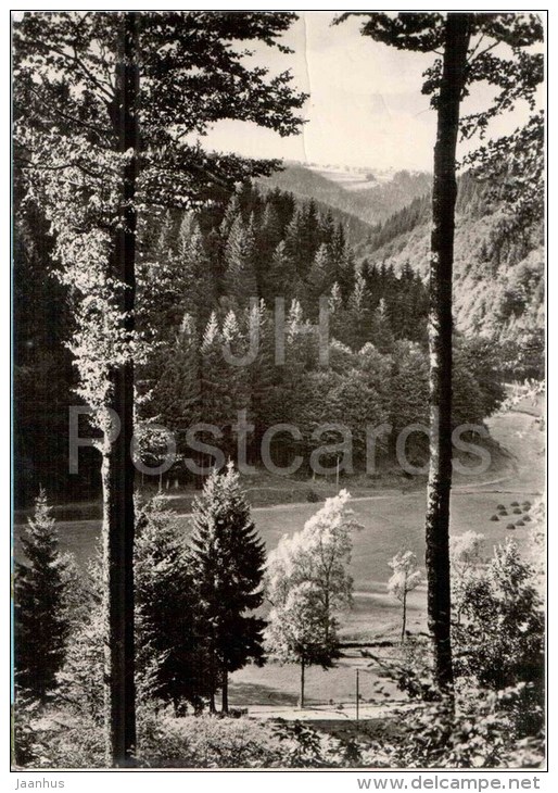 Luftkurort Frauenwald - Blick Vom Pfaffkopf - Germany - 1976 Gelaufen - Arnstadt