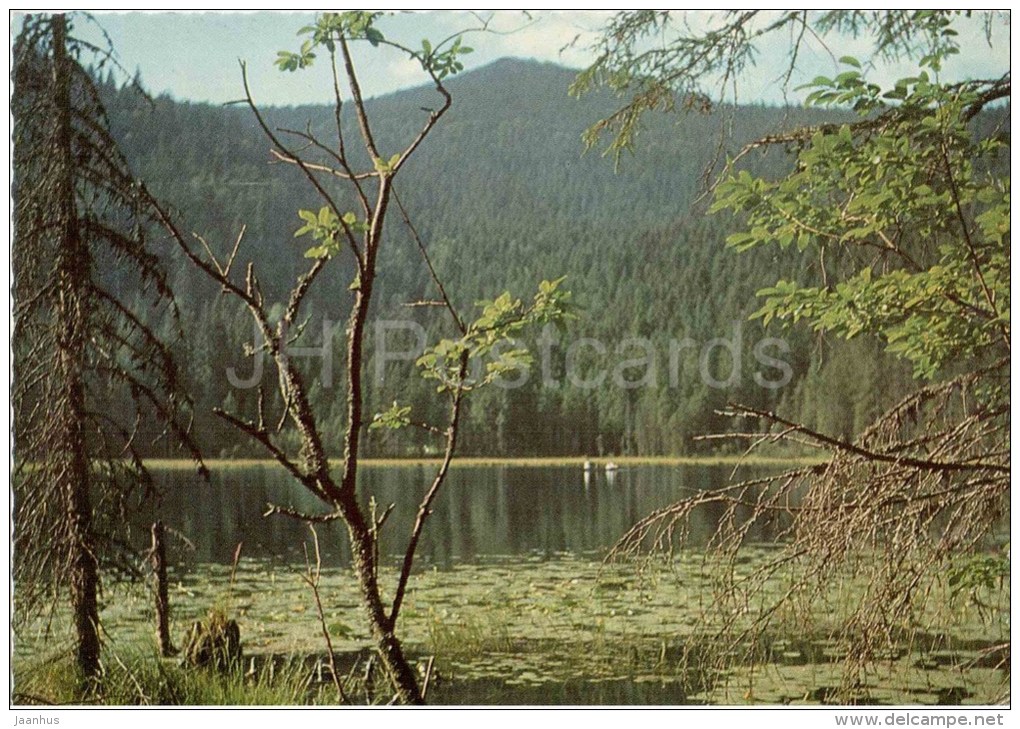 Arbersee Mit Blick Gegen Gr. Arber - Germany - Gelaufen - Bodenmais