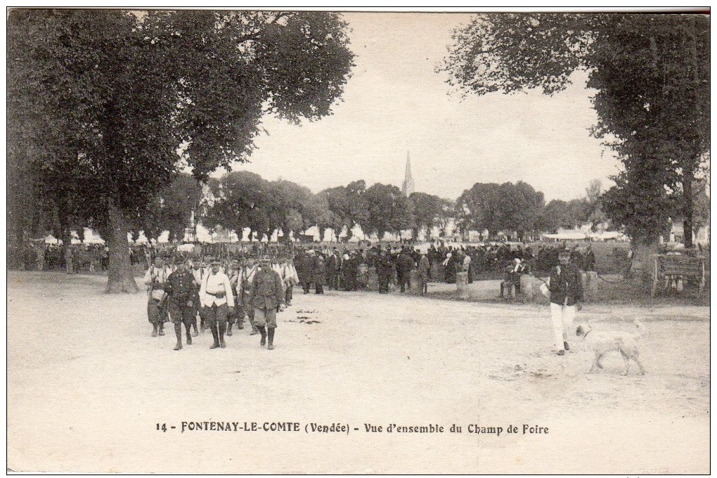 FR-85: FONTENAY LE COMTE: Vue D'ensemble Du Champ De Foire - Fontenay Le Comte