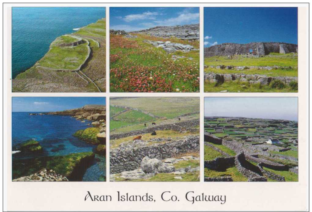 38579 - IRELAND  GALWAY  ARAN ISLANDS   POSTCARD USED - Galway