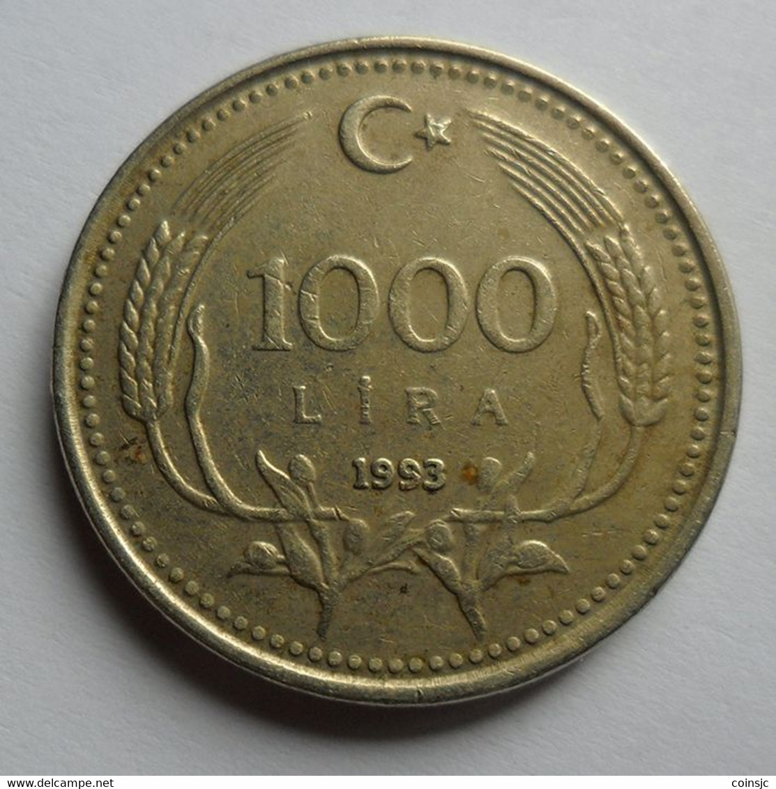Turquia - 1000 Lira - 1993 - Türkei